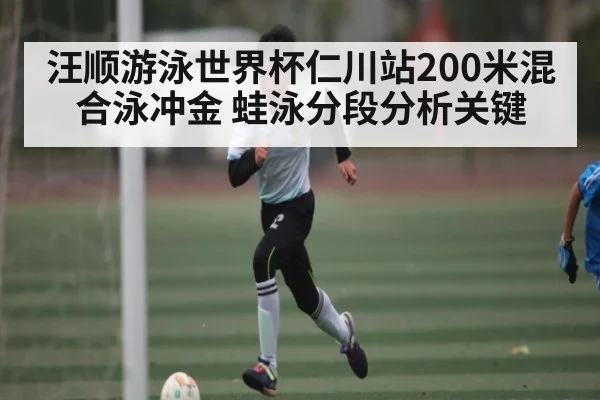 汪顺游泳世界杯仁川站200米混合泳冲金 蛙泳分段分析关键 | kaiyun