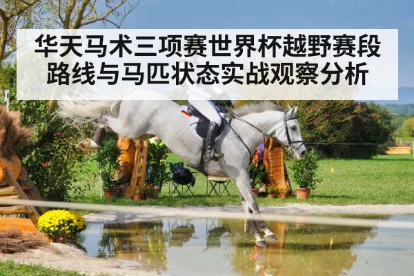 equestrian cross country horse jumping